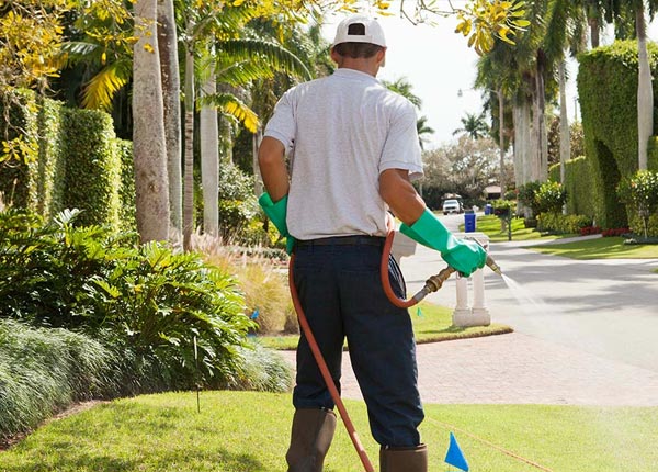 About Seal Harbor ME Pest Control